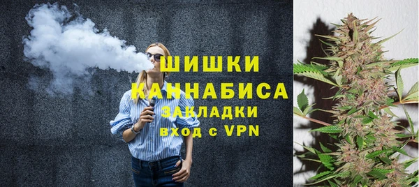 ПСИЛОЦИБИНОВЫЕ ГРИБЫ Арсеньев