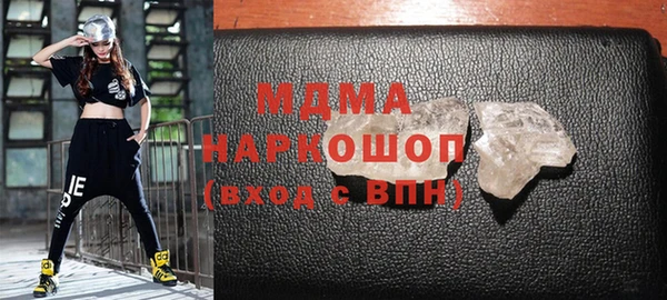прущие грибы Аркадак