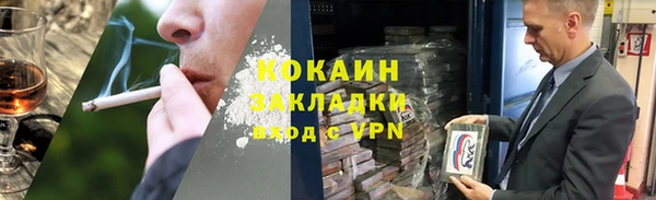 прущие грибы Аркадак