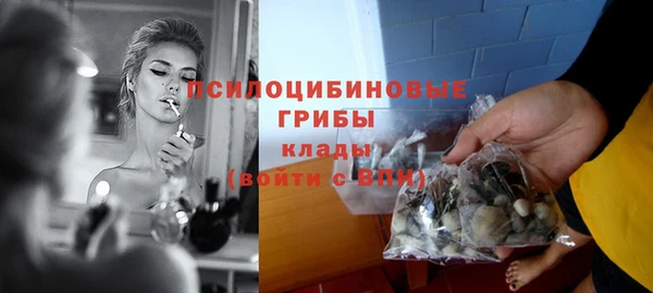 каннабис Осташков