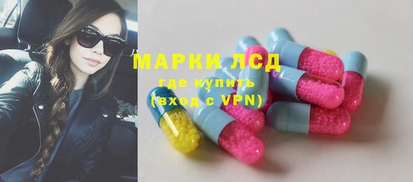 прущие грибы Аркадак
