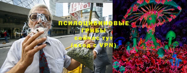 прущие грибы Аркадак