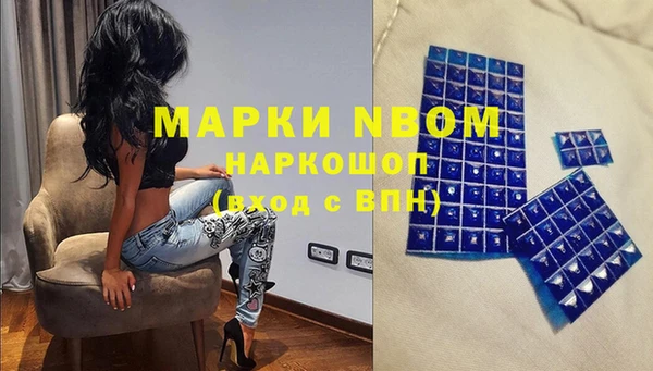 прущие грибы Аркадак