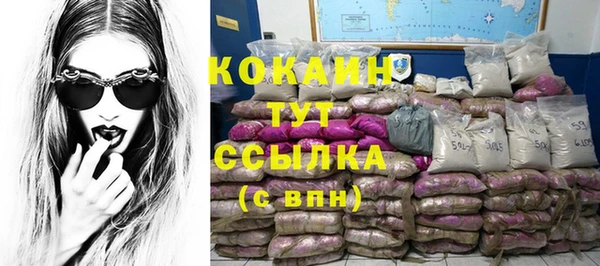ПСИЛОЦИБИНОВЫЕ ГРИБЫ Арсеньев