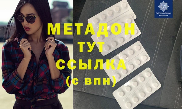 прущие грибы Аркадак