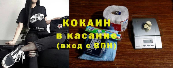 прущие грибы Аркадак