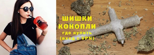 ПСИЛОЦИБИНОВЫЕ ГРИБЫ Арсеньев