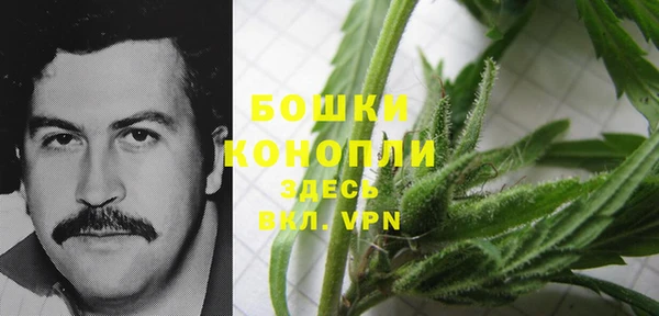 прущие грибы Аркадак